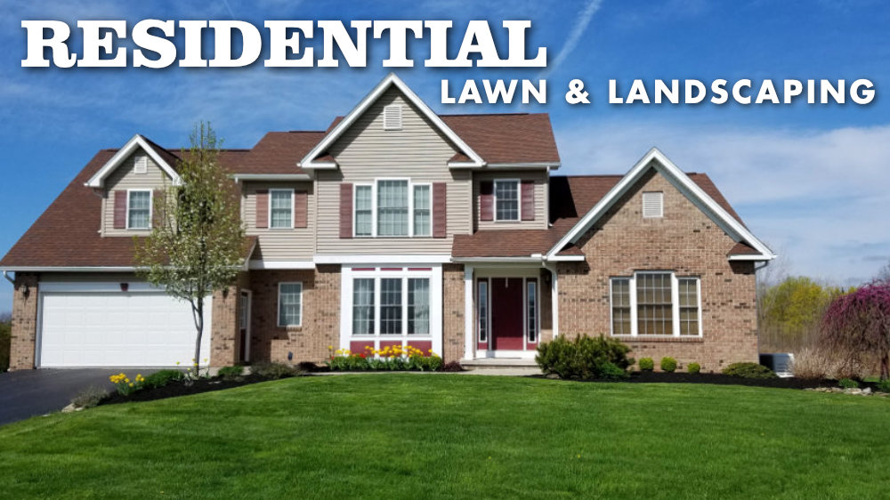 Residential Lawn Care and Landscaping