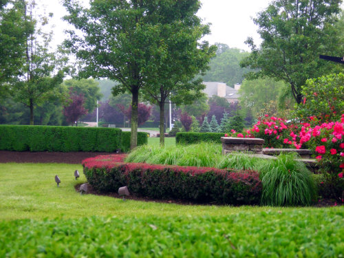 Landscapes...Let Zale's professional landscapers make your business or home stand out!