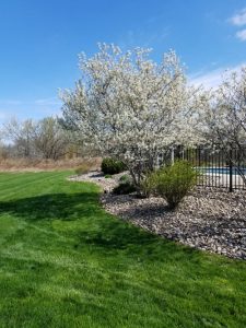 Residential Lawn Care and Landscape Design
